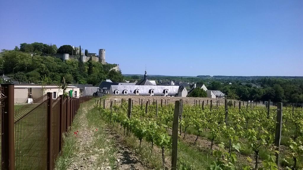 Residence Prestige Odalys Le Clos Saint Michel Chinon Exterior photo