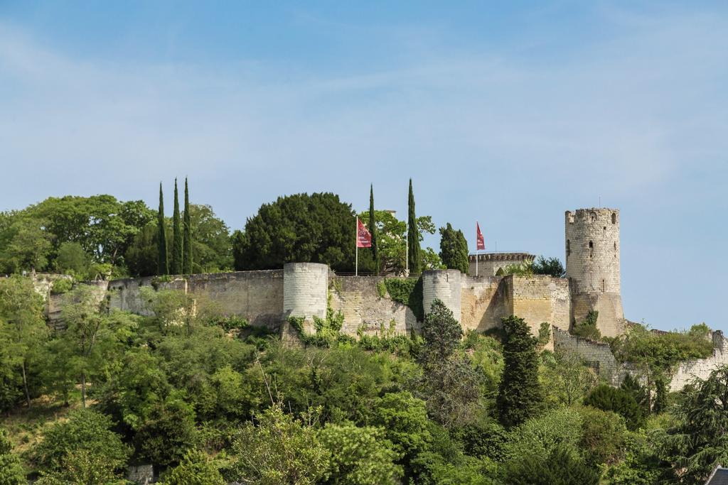 Residence Prestige Odalys Le Clos Saint Michel Chinon Exterior photo